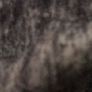 Meet your Posher, Deonna